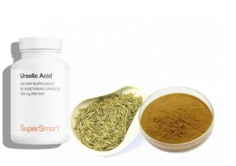 Ursolic acid Powder supplier Ursolic acid Powder supplier