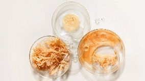 Капсуле морске маховине за употребу животиња: Природно појачање за ваше кућне...